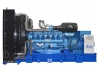 Дизельный генератор ТСС АД-800С-Т400-2РМ9 с АВР